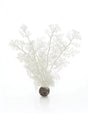 biOrb White Sea Fan Aquarium Decoration Medium - Mill Race Garden Centre