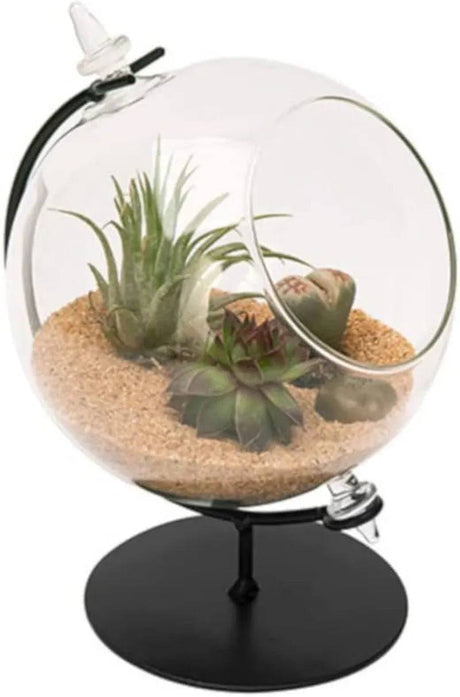 Desktop Glass Terrarium Planter and Metal Stand - Mill Race Garden Centre