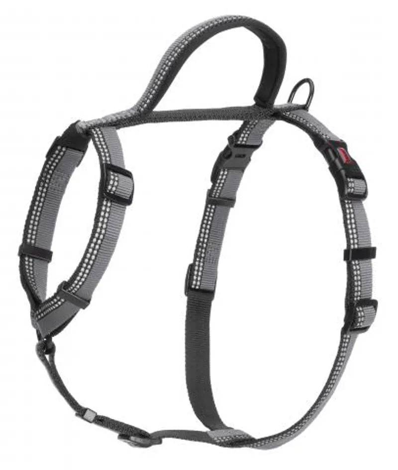 Halti Medium Walking Harness in Black