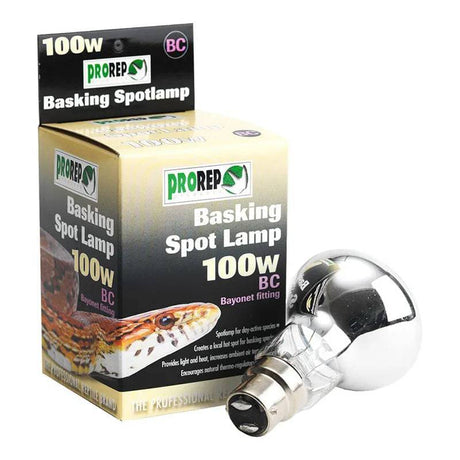 PR Basking Spotlamp 100W BC - Mill Race Garden Centre