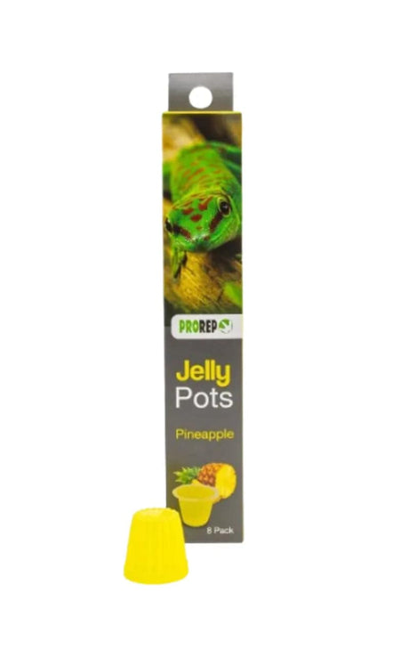 PR Jelly Pots Pineapple 8-pk - Mill Race Garden Centre