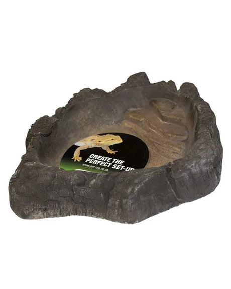 PR Terrarium Bowl wood Large - Mill Race Garden Centre