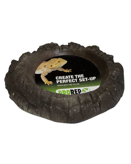 PR Terrarium Bowl wood Med - Mill Race Garden Centre