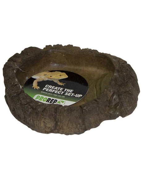 PR Terrarium Bowl wood sml - Mill Race Garden Centre