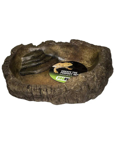 ProRep Terrarium Bowl wood Extra Large - Mill Race Garden Centre