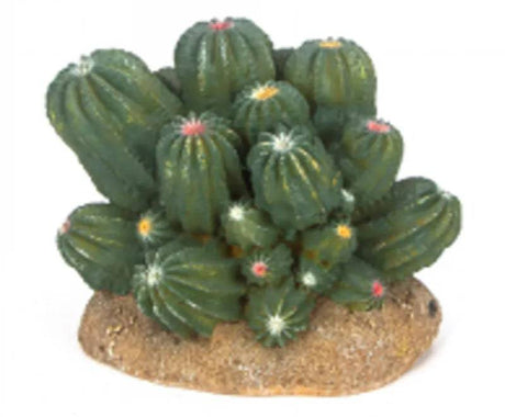 Cactus 2 Size 1210.511 - Mill Race Garden Centre