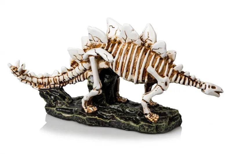 Stegosaurus Skeleton 2 Size 33x9x16 - Mill Race Garden Centre