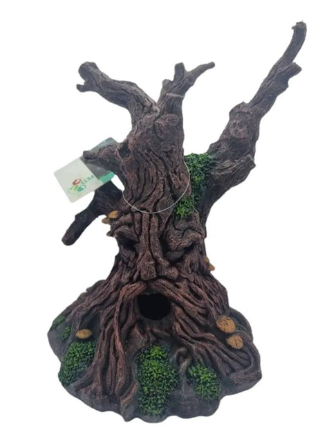 Tree Monster 6 Size 19.517.824.5 - Mill Race Garden Centre