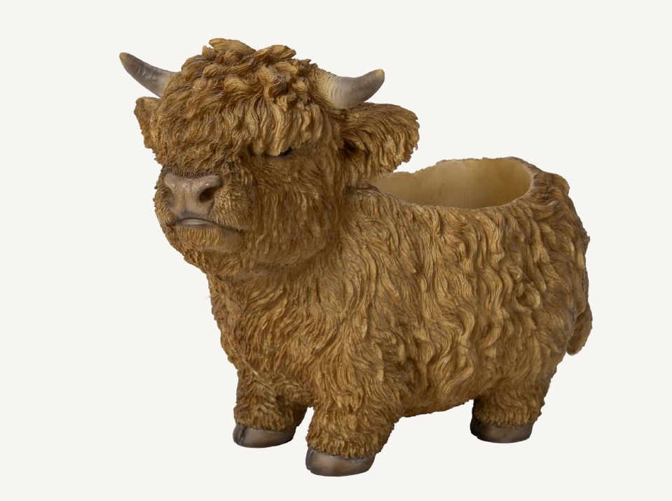Highland Cattle Planter Size D by Vivid Arts - Mill Race Garden Centre