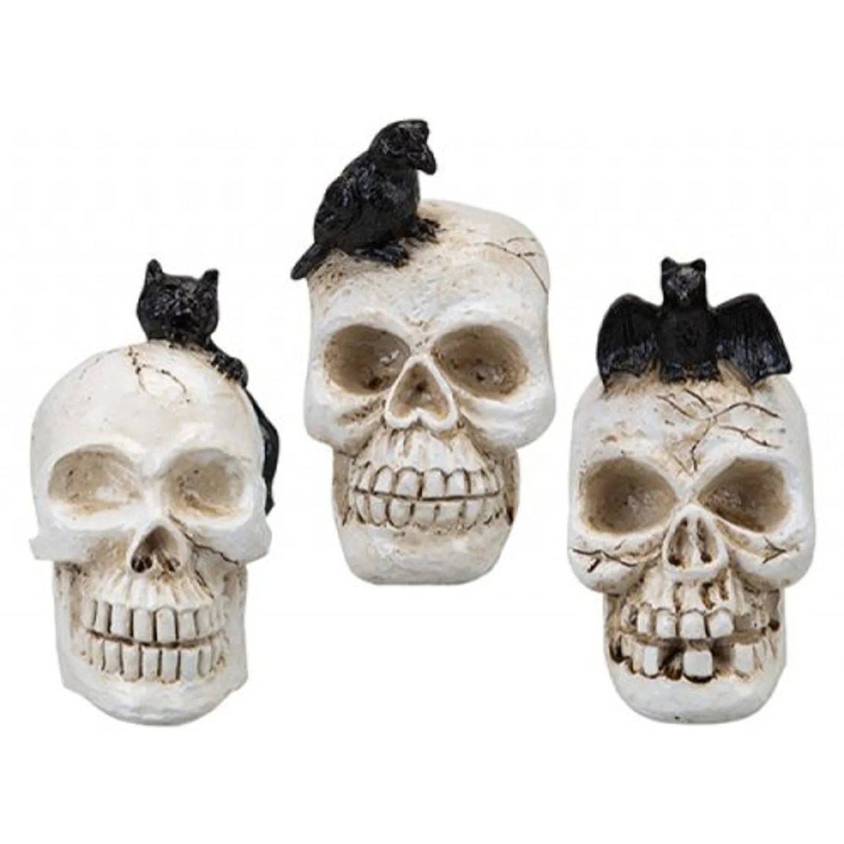 Halloween Skull Decoration with Animals Assorted