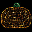 45cm 2D SoftAcrylic Pumpkin w- - Mill Race Garden Centre