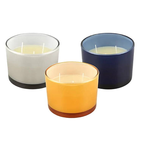 Citronella Lemongrass Wax Glass Jar Candle Assorted by Premier - Mill Race Garden Centre