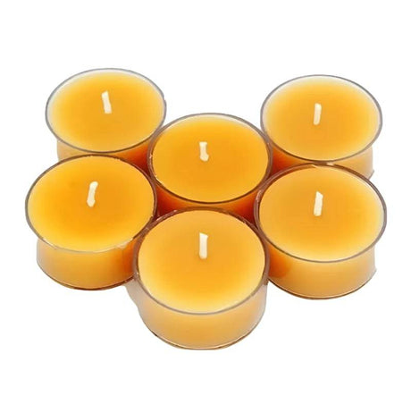 Yellow Citronella Tea Lights 6 Pack by Premier - Mill Race Garden Centre