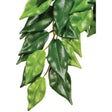 Exo Terra Ficus Silk Jungle Plant Medium - Mill Race Garden Centre