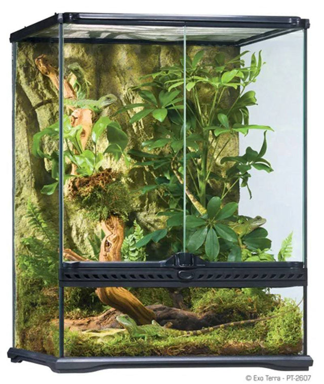 Exo Terra Glass Terrarium 45 x 45 x 60cm Reptile Habitat - Mill Race Garden Centre