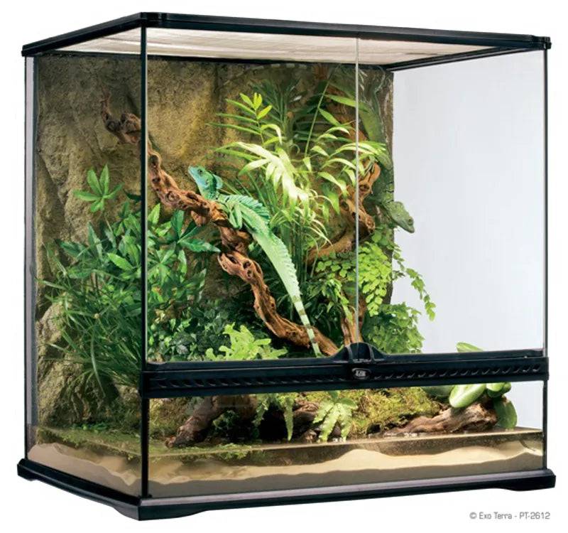 Exo Terra Glass Terrarium 60 x 45 x 60cm Reptile Habitat