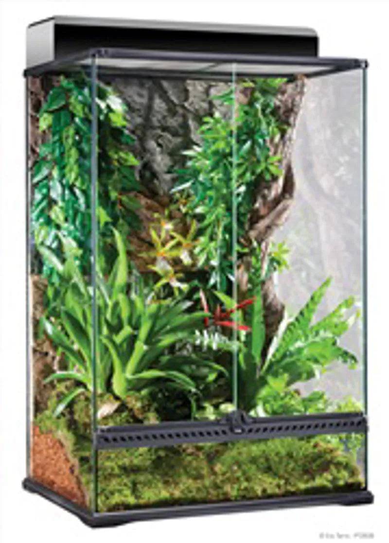 Exo Terra Medium X-Tall Terrarium