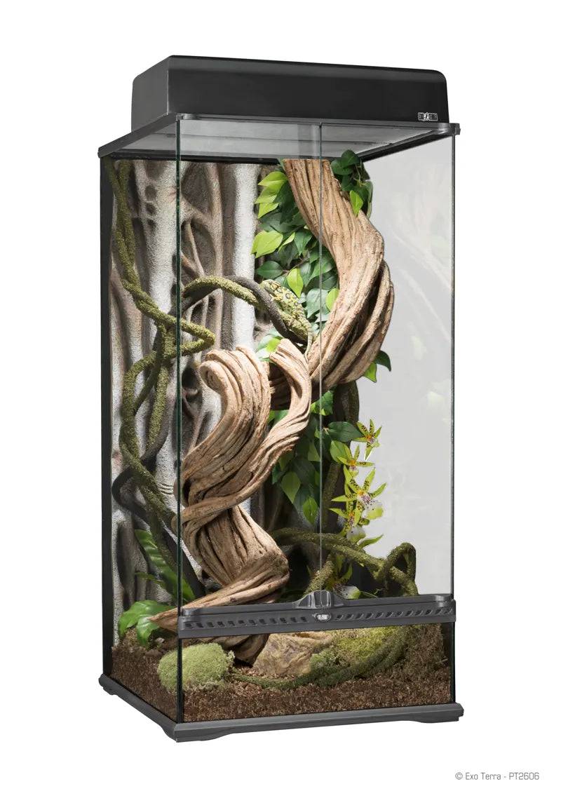 Exo Terra Natural Terrarium Small / Extra Tall Advanced Reptile Habitat 45 x 45 x 90 cm