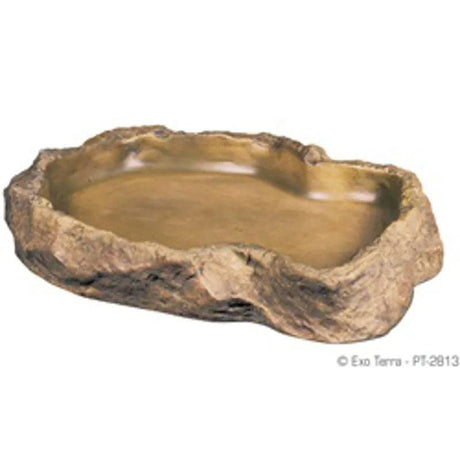 Reptile Feeding Dish X Large - Mill Race Garden Centre