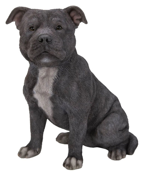 Staffordshire Terrier Blue Real life Resin by vivid Arts - Mill Race Garden Centre