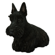 Vivid Arts Real Life Black Scottish Terrier resin ornament showing a detailed black Scottish Terrier dog figure.