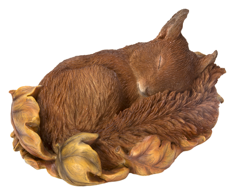 Sleeping Baby Red Squirrel Real Life Resin Ornament by Vivid Arts - Mill Race Garden Centre
