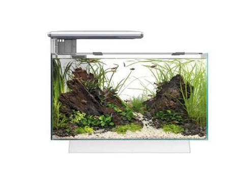 Superfish Aquarium Quadro 40 Pro White - Mill Race Garden Centre