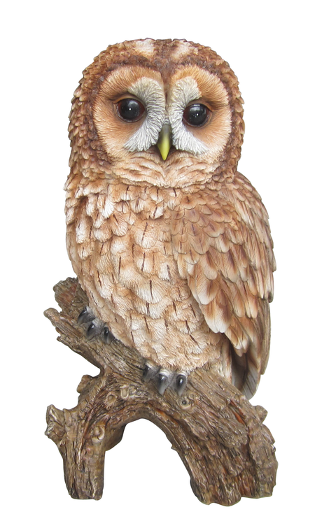 Tawny Owl Real Life Resin Ornament Size F by Vivid Arts - Mill Race Garden Centre