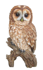 Tawny Owl Real Life Resin Ornament Size F by Vivid Arts - Mill Race Garden Centre