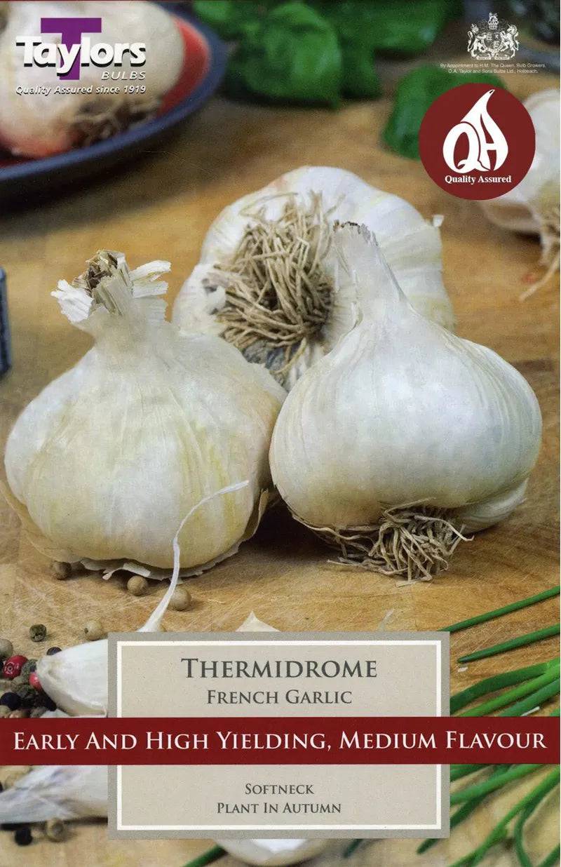 FRENCH GARLIC THERMIDROME - Mill Race Garden Centre