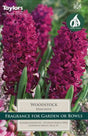 Hyacinth Woodstock 16-17 Ord P/P - Mill Race Garden Centre