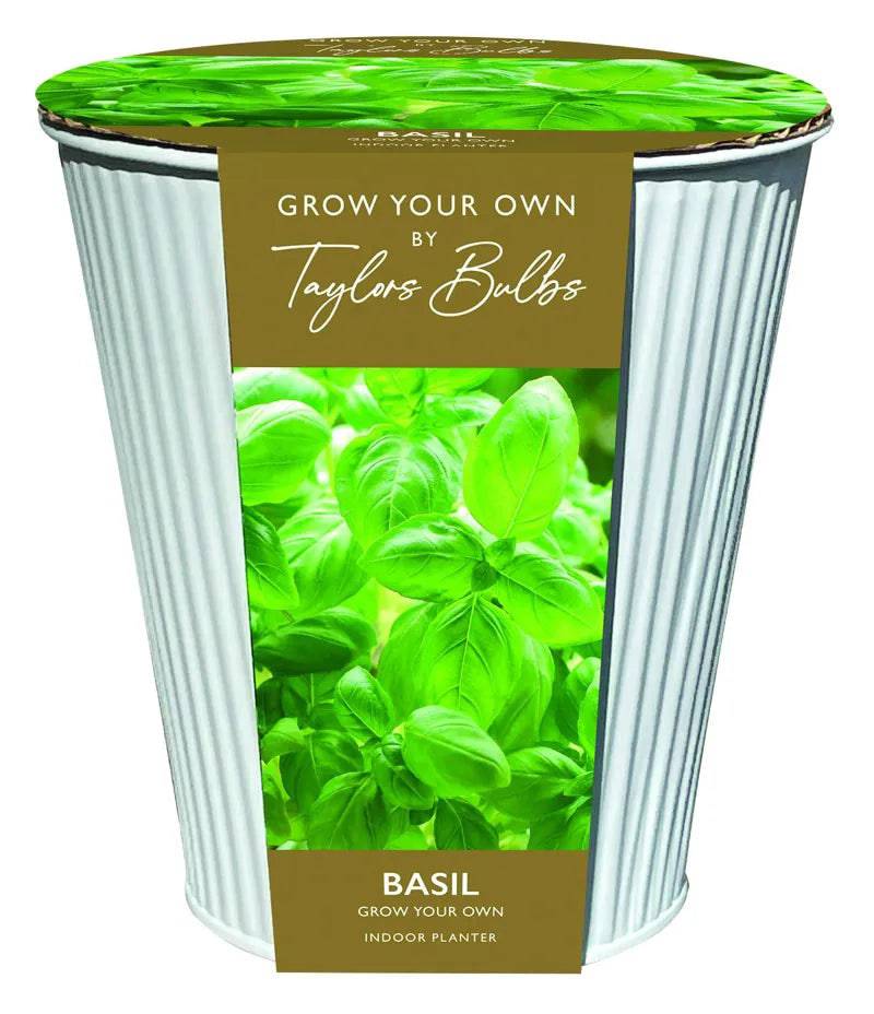 Indoor Basil Zinc Planter - Mill Race Garden Centre