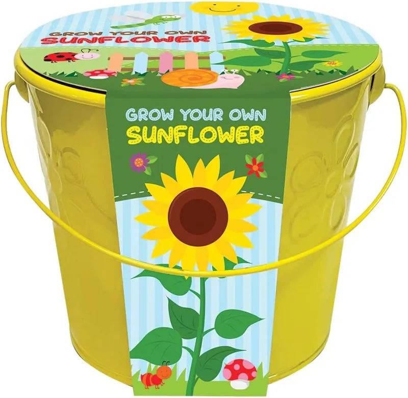 Taylors Bulbs Kids Grow Your Own Sunflowers