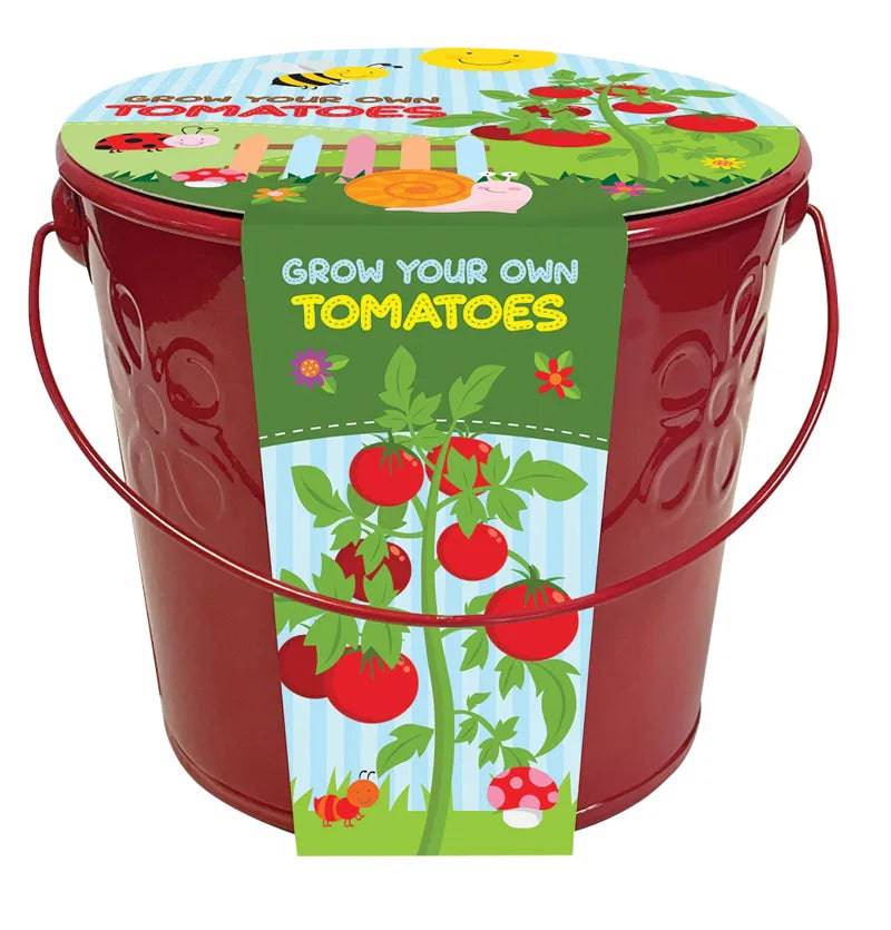 Taylors Bulbs Kids Grow Your Own Tomatoes