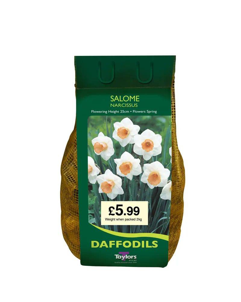 Taylors Bulbs Salome Narcissi Carri-Pack 2kg