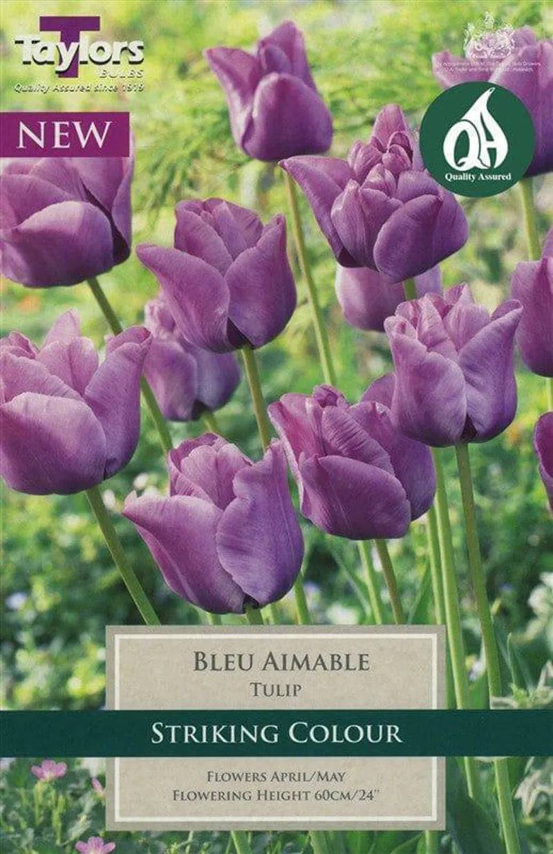 Tulip Bleu Aimable 11-12 P/P - Mill Race Garden Centre