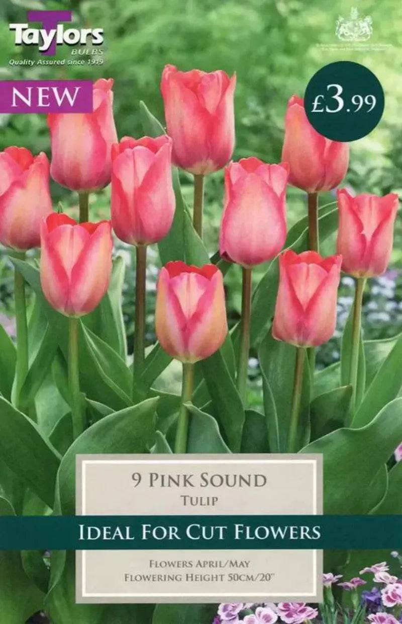 Tulip Pink Sound 11-12 Pre-Pack - Mill Race Garden Centre