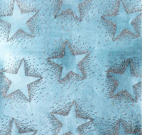 2M Glitter Finlandia Dotty Star Silver On Ice Blue Wrapping Paper - Mill Race Garden Centre