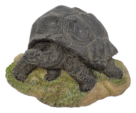 Vivid Arts crawling tortoise resin ornament with detailed textured shell and realistic design for outdoor decor.