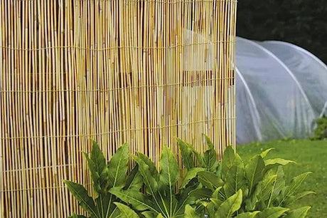 Reed Screen 4m x 1m Natural - Mill Race Garden Centre