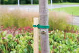 Square Tree Stake 1.8m x 30mm