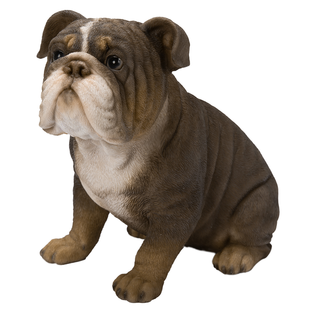 Vivid Arts Real Life Tricolour Bulldog Resin Ornament - Mill Race Garden Centre