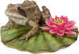 Frog on Lily Pad Ornament Size D by Vivid Arts - Mill Race Garden Centre