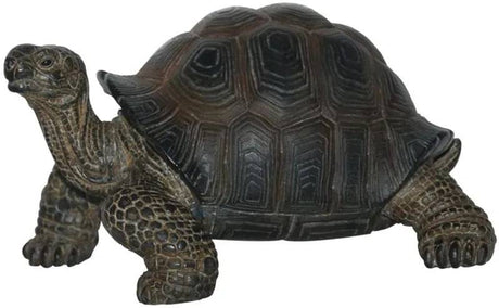 Pet Pals Baby Tortoise Ornament by Vivid Arts - Mill Race Garden Centre