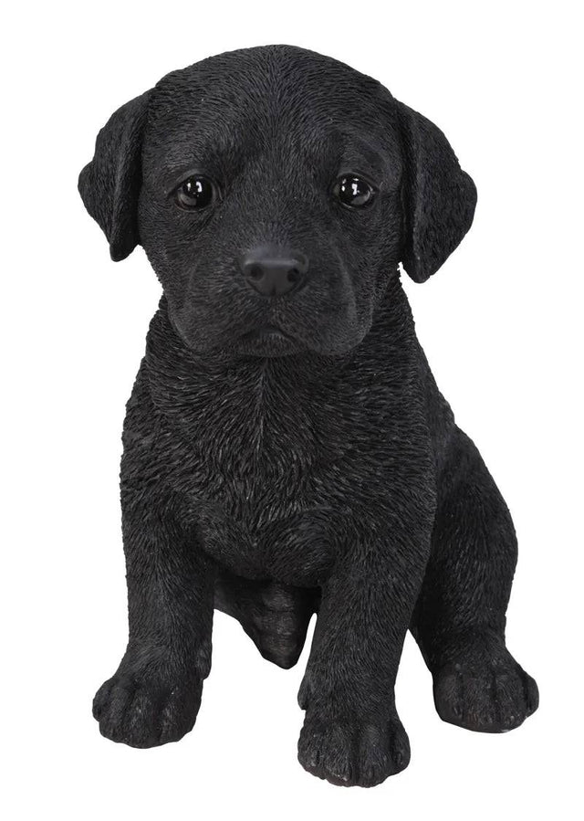 Pet Pals Black Labrador Puppy Ornament by Vivid Arts - Mill Race Garden Centre