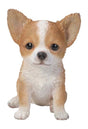 Pet Pals Brown/White Chihuahua Puppy By Vivid Arts - Mill Race Garden Centre