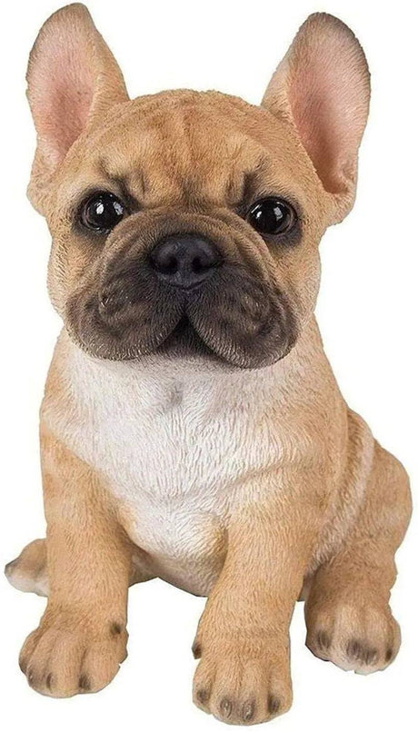 Pet Pals Golden French Bulldog Puppy by Vivid Arts - Mill Race Garden Centre