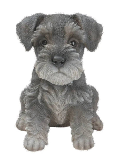 Pet Pals Mini Schnauzer Puppy Ornament by Vivid Arts - Mill Race Garden Centre