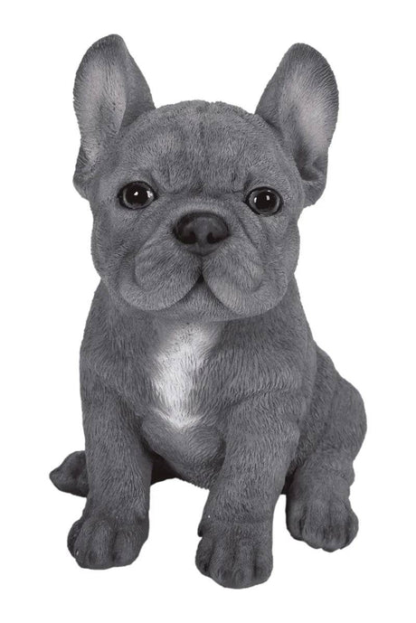 PetPal Blue French Bulldog Size F by Vivid Arta - Mill Race Garden Centre