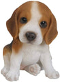 PP Beagle Puppy F - Mill Race Garden Centre